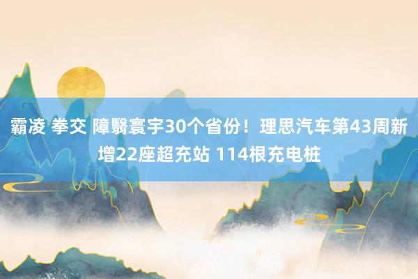 霸凌 拳交 障翳寰宇30个省份！理思汽车第43周新增22座超充站 114根充电桩