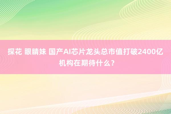探花 眼睛妹 国产AI芯片龙头总市值打破2400亿 机构在期待什么？