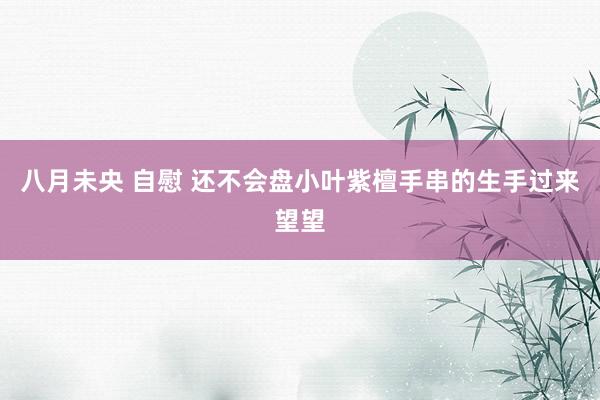 八月未央 自慰 还不会盘小叶紫檀手串的生手过来望望