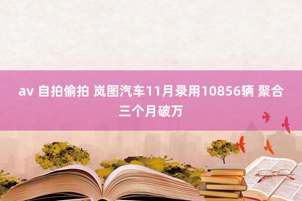 av 自拍偷拍 岚图汽车11月录用10856辆 聚合三个月破万