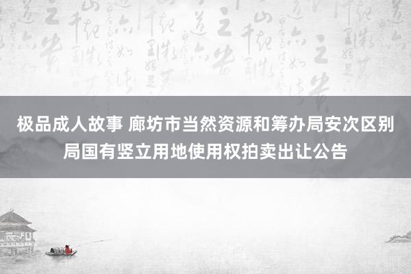 极品成人故事 廊坊市当然资源和筹办局安次区别局国有竖立用地使用权拍卖出让公告