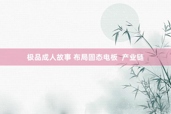 极品成人故事 布局固态电板  产业链