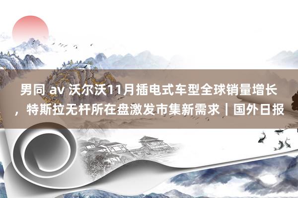 男同 av 沃尔沃11月插电式车型全球销量增长，特斯拉无杆所在盘激发市集新需求｜国外日报