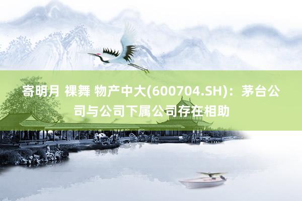 寄明月 裸舞 物产中大(600704.SH)：茅台公司与公司下属公司存在相助