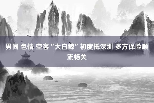 男同 色情 空客“大白鲸”初度抵深圳 多方保险顺流畅关