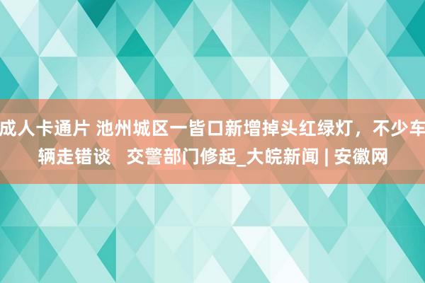 成人卡通片 池州城区一皆口新增掉头红绿灯，不少车辆走错谈   交警部门修起_大皖新闻 | 安徽网