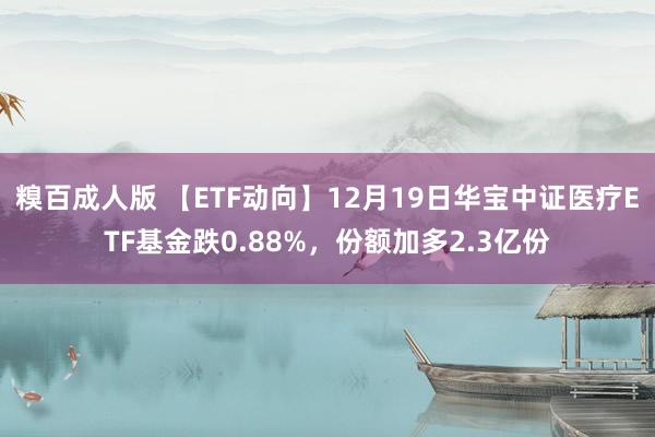 糗百成人版 【ETF动向】12月19日华宝中证医疗ETF基金跌0.88%，份额加多2.3亿份