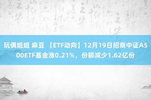 玩偶姐姐 麻豆 【ETF动向】12月19日招商中证A500ETF基金涨0.21%，份额减少1.62亿份