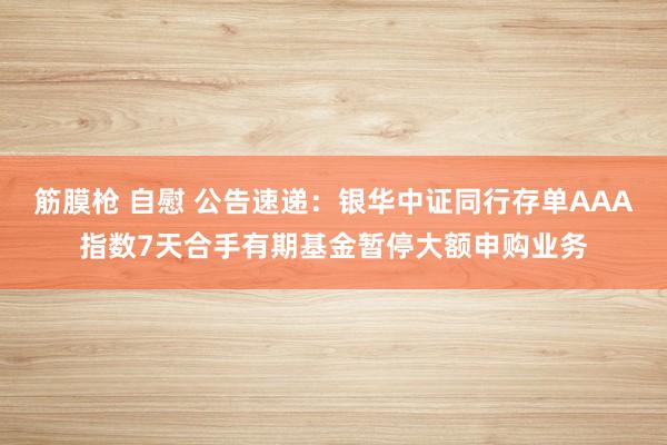 筋膜枪 自慰 公告速递：银华中证同行存单AAA指数7天合手有期基金暂停大额申购业务