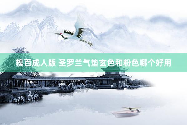 糗百成人版 圣罗兰气垫玄色和粉色哪个好用