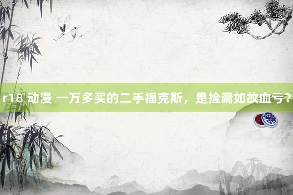 r18 动漫 一万多买的二手福克斯，是捡漏如故血亏？
