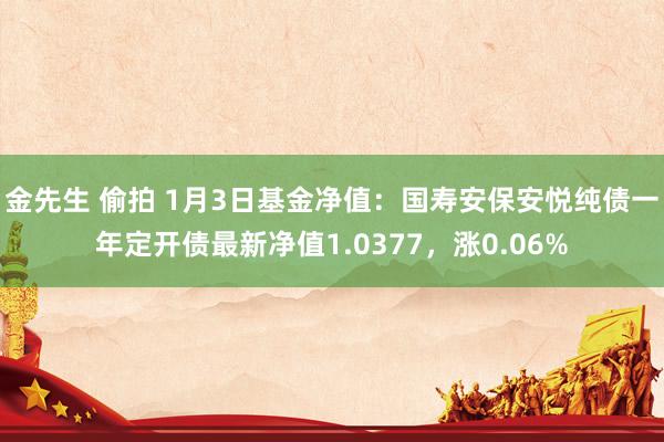 金先生 偷拍 1月3日基金净值：国寿安保安悦纯债一年定开债最新净值1.0377，涨0.06%