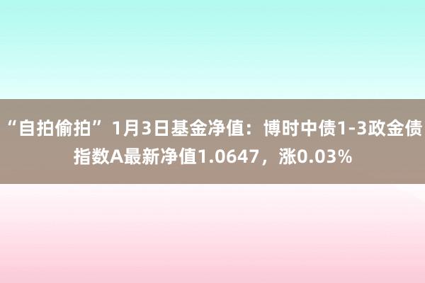 “自拍偷拍” 1月3日基金净值：博时中债1-3政金债指数A最新净值1.0647，涨0.03%