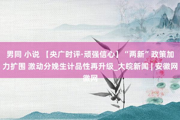 男同 小说 【央广时评·顽强信心】“两新”政策加力扩围 激动分娩生计品性再升级_大皖新闻 | 安徽网