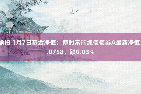 偷拍 1月7日基金净值：博时富瑞纯债债券A最新净值1.0758，跌0.03%