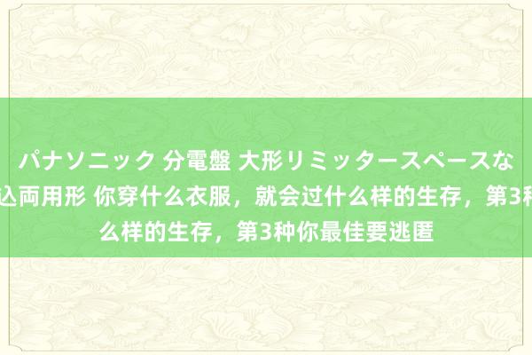 パナソニック 分電盤 大形リミッタースペースなし 露出・半埋込両用形 你穿什么衣服，就会过什么样的生存，第3种你最佳要逃匿