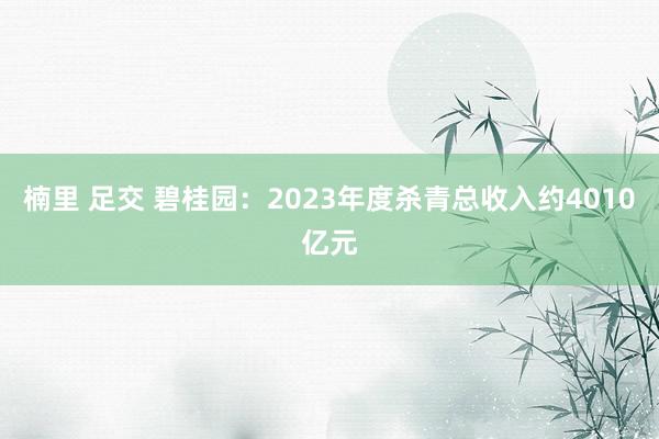 楠里 足交 碧桂园：2023年度杀青总收入约4010亿元