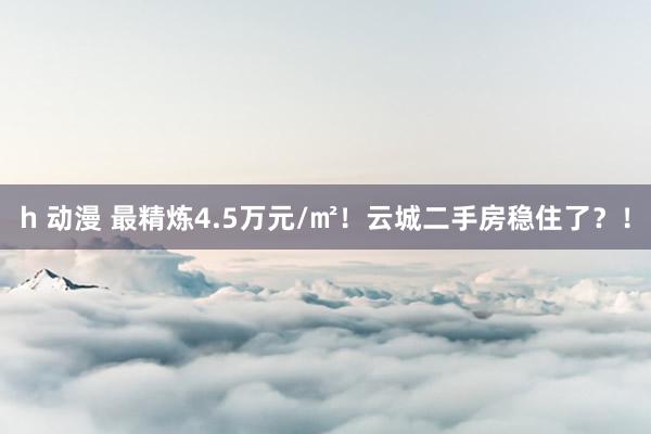 h 动漫 最精炼4.5万元/㎡！云城二手房稳住了？！