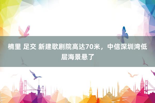 楠里 足交 新建歌剧院高达70米，中信深圳湾低层海景悬了
