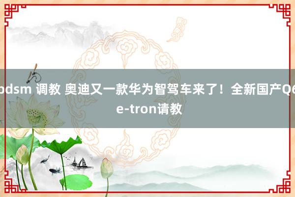 bdsm 调教 奥迪又一款华为智驾车来了！全新国产Q6 e-tron请教