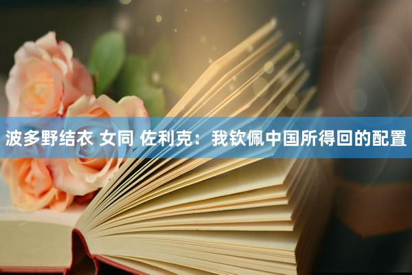 波多野结衣 女同 佐利克：我钦佩中国所得回的配置