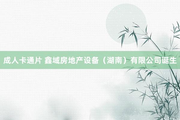 成人卡通片 鑫域房地产设备（湖南）有限公司诞生