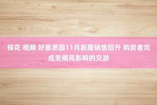 探花 视频 好意思国11月新屋销售回升 购房者完成受飓风影响的交游