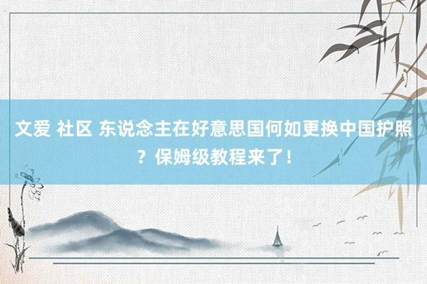 文爱 社区 东说念主在好意思国何如更换中国护照？保姆级教程来了！