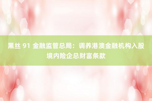 黑丝 91 金融监管总局：调养港澳金融机构入股境内险企总财富条款