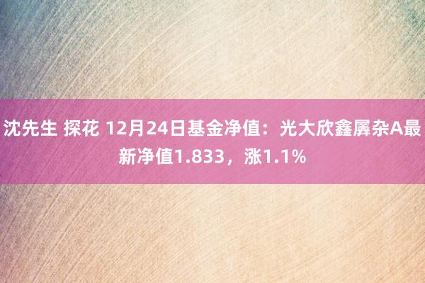 沈先生 探花 12月24日基金净值：光大欣鑫羼杂A最新净值1.833，涨1.1%