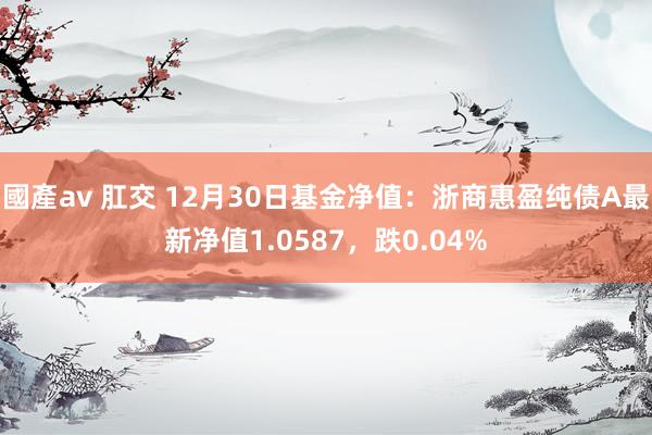國產av 肛交 12月30日基金净值：浙商惠盈纯债A最新净值1.0587，跌0.04%