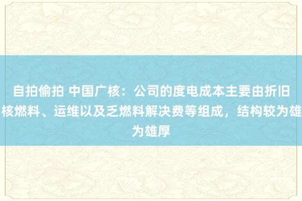 自拍偷拍 中国广核：公司的度电成本主要由折旧、核燃料、运维以及乏燃料解决费等组成，结构较为雄厚