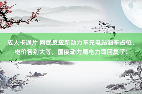 成人卡通片 网民反应新动力车充电站油车占位、电价各别大等，国度动力局电力司回复了！