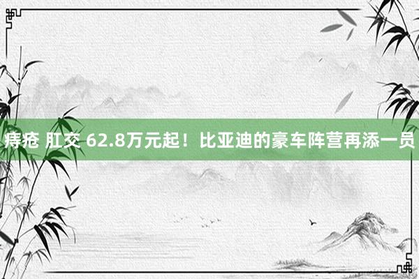 痔疮 肛交 62.8万元起！比亚迪的豪车阵营再添一员