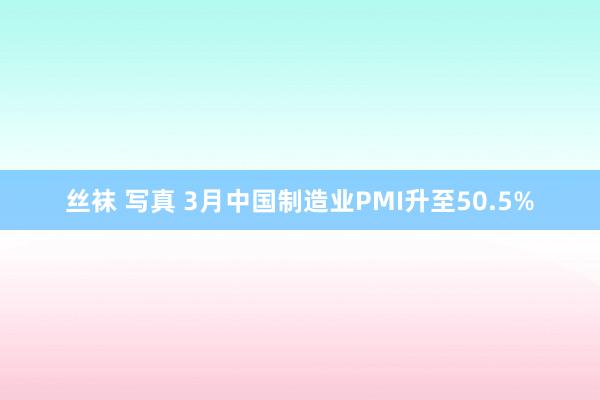 丝袜 写真 3月中国制造业PMI升至50.5%