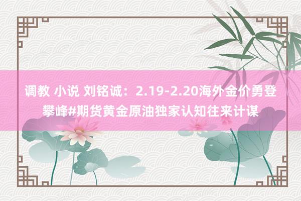 调教 小说 刘铭诚：2.19-2.20海外金价勇登攀峰#期货黄金原油独家认知往来计谋