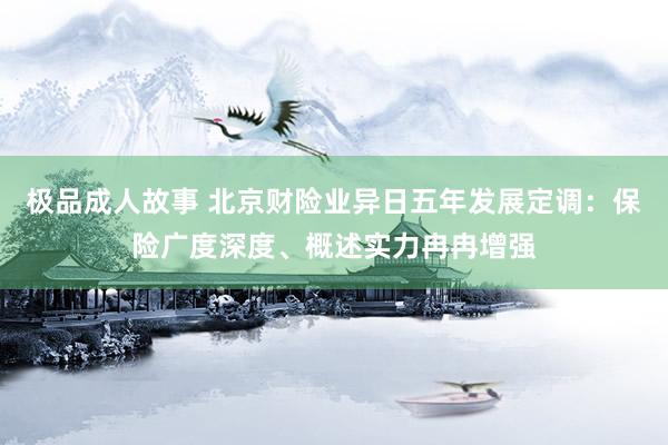 极品成人故事 北京财险业异日五年发展定调：保险广度深度、概述实力冉冉增强