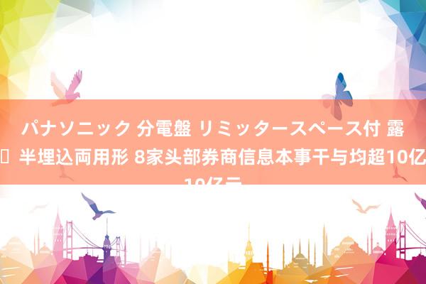 パナソニック 分電盤 リミッタースペース付 露出・半埋込両用形 8家头部券商信息本事干与均超10亿元