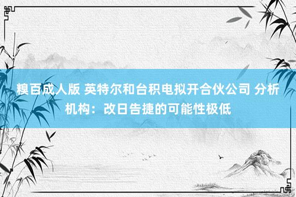 糗百成人版 英特尔和台积电拟开合伙公司 分析机构：改日告捷的可能性极低