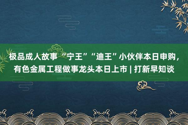 极品成人故事 “宁王”“迪王”小伙伴本日申购，有色金属工程做事龙头本日上市 | 打新早知谈