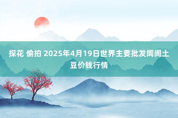 探花 偷拍 2025年4月19日世界主要批发阛阓土豆价钱行情