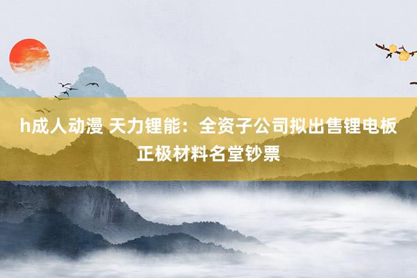 h成人动漫 天力锂能：全资子公司拟出售锂电板正极材料名堂钞票