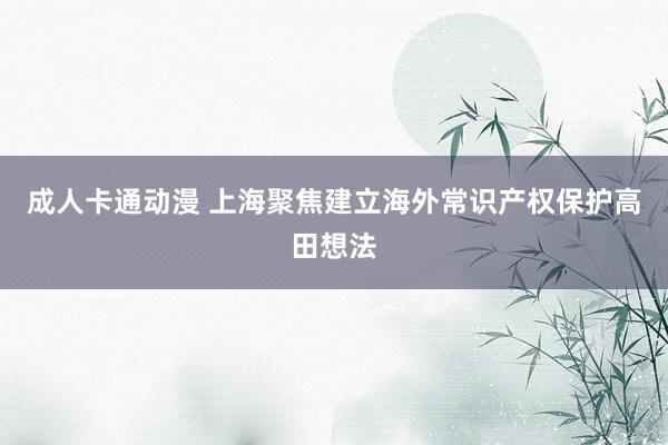 成人卡通动漫 上海聚焦建立海外常识产权保护高田想法